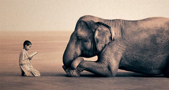 Teaching Elephant