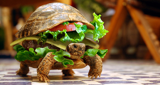 Turtle Burger