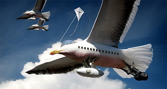 Lars-Julien Meyer - Corax
