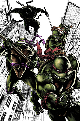 ninjas ninjas