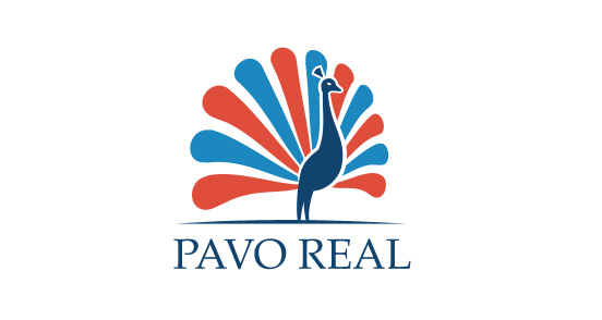 Pavo Real l شعارات تتحفك بجمالها