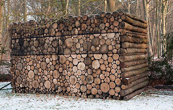 Tree Trunk