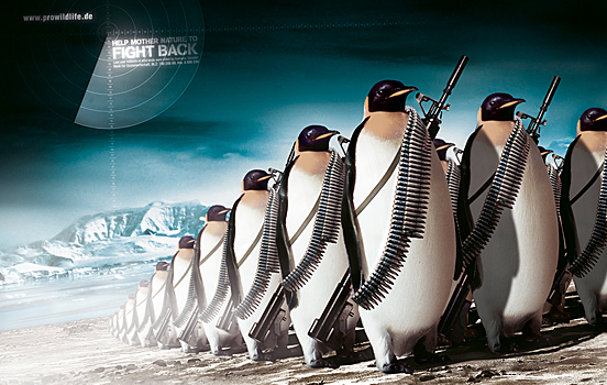 Creative Ads