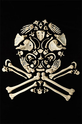 bone Art