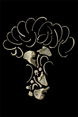 bone Art