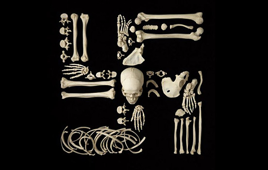bone Art