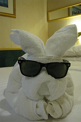 Towel Art