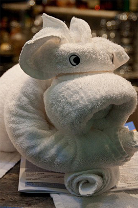 Towel Art