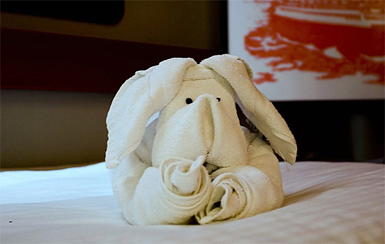 Towel Art