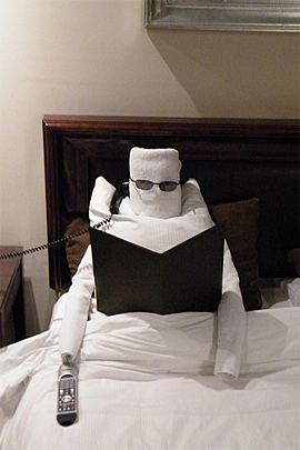 Towel Art
