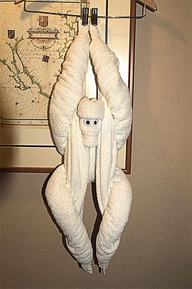 Towel Art