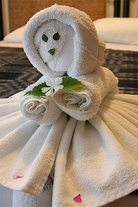 Towel Art
