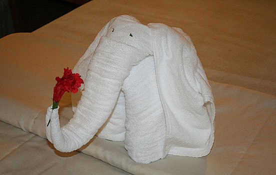 Towel Art
