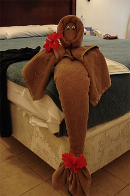 Towel Art