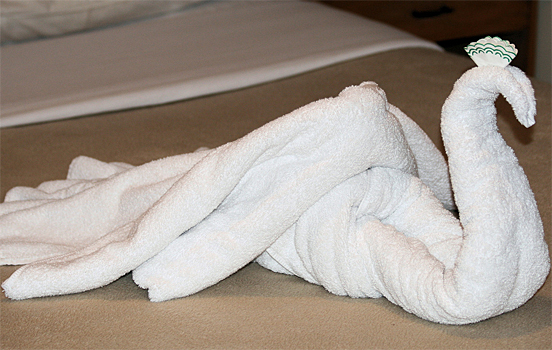 Towel Art
