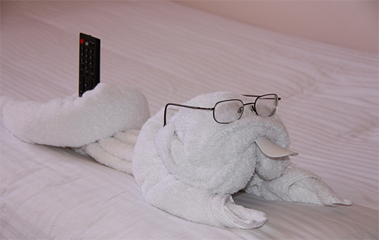 Towel Art