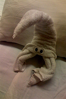 Towel Art