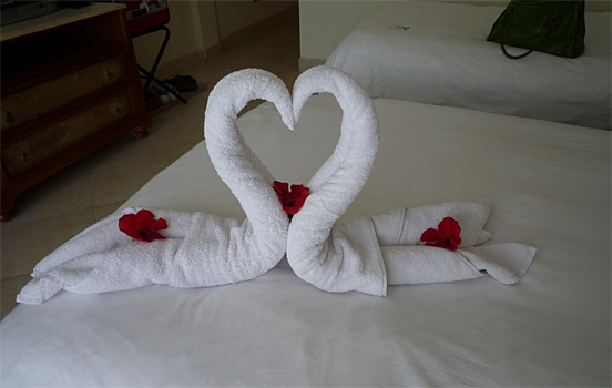 Towel Art