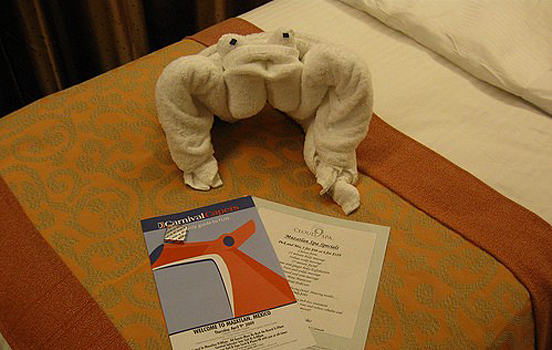 Towel Art