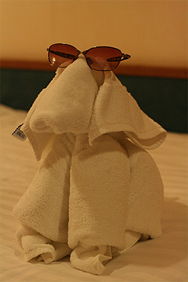 Towel Art