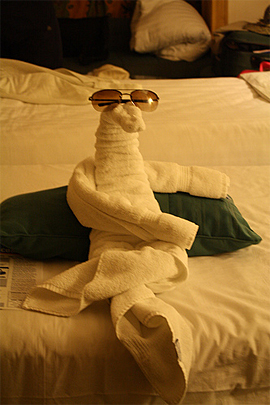 Towel Art