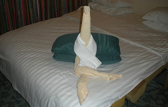 Towel Art