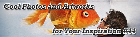 Cool Photos and Artworks for Your Inspiration #44