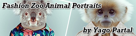 Fashion Zoo Animal Portraits by Yago Partal
