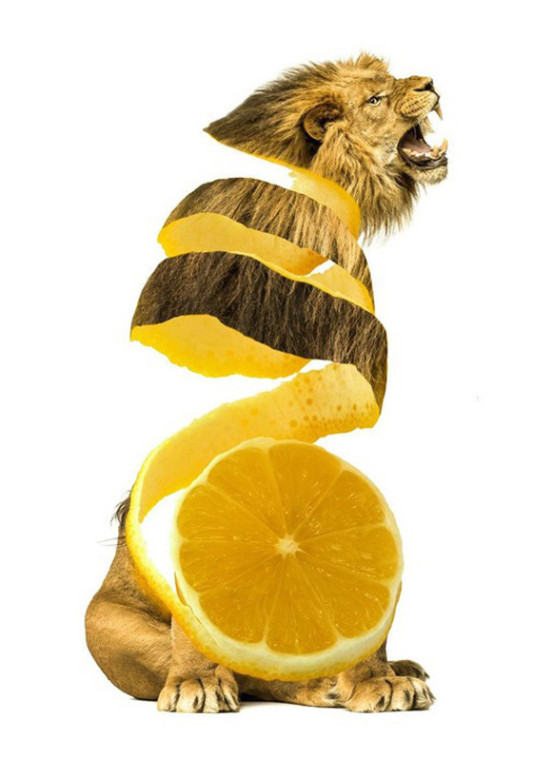 06-limon3
