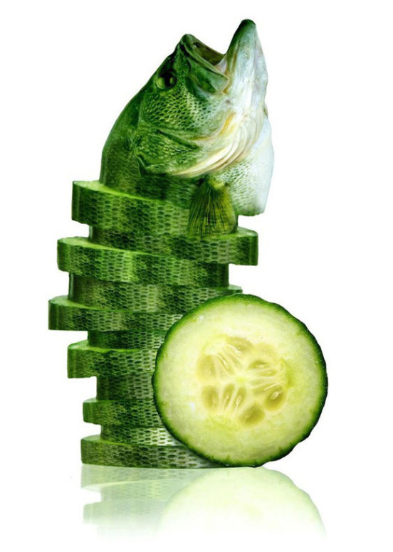 08-sea-cucumber3