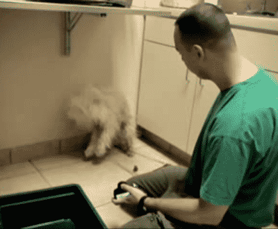 Scheduled To Be Euthanized, All This Terrified Dog Needed Was A Hug And Some Love