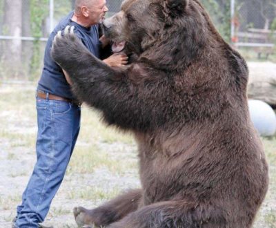 Massive Wild Bear Jumps Into A Man’s Arms And Hugs Him, Nobody Believes When The Man Tells His Story