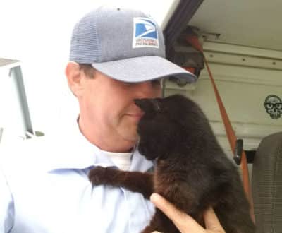 Senior Cat Escapes Home Everyday Just To Hug Her Favorite Mailman