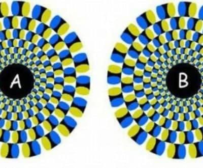 These Optical Illusions Will Have You Questioning Everything