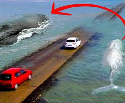 These Are the World’s Most Dangerous Roads